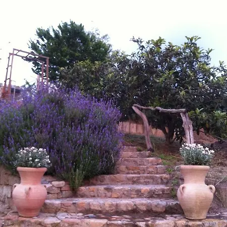 A Fata Di L'Ortolo Gites A La Ferme Sartene  Room photo